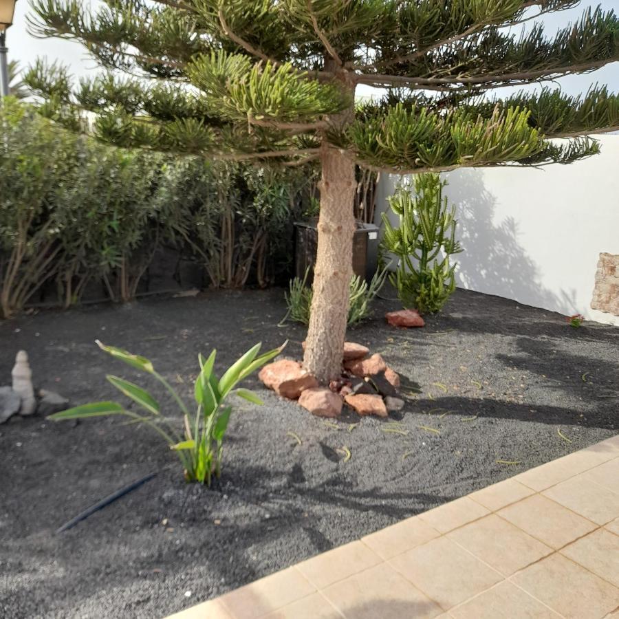 Villa Julima Playa Blanca  Extérieur photo